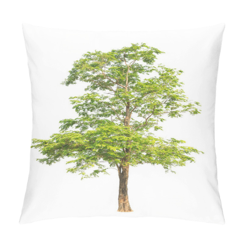 Personality  Pterocarpus Indicus Known By Several Common Names, Including Amb Pillow Covers