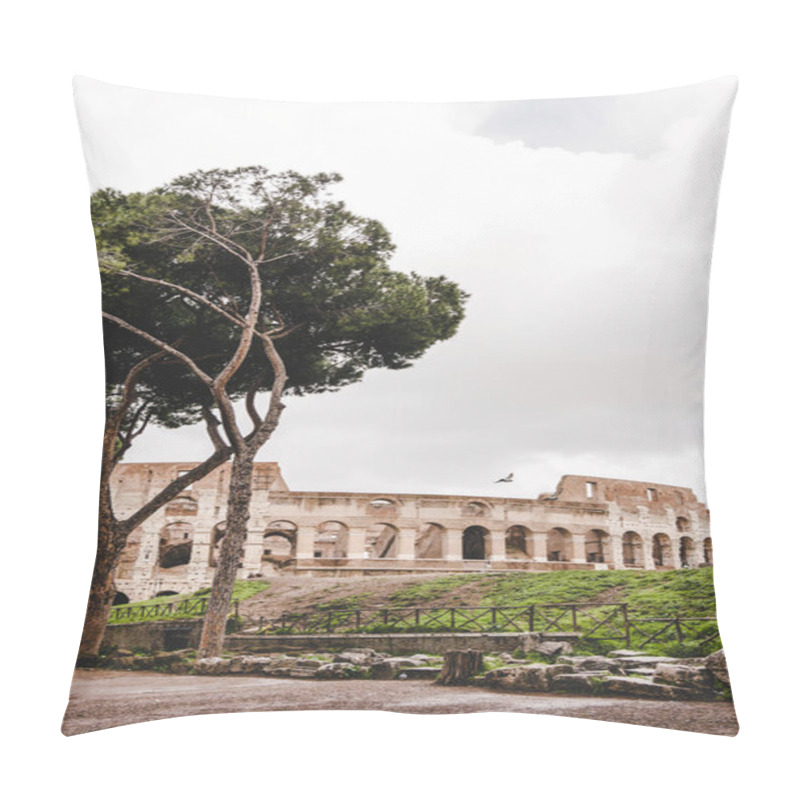 Personality  Green Trees In Front Of Ancient Colosseum Ruins On Cloudy Day, Rome, Italy Pillow Covers