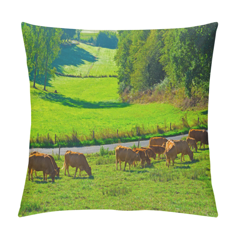 Personality  Cows Pillow Covers