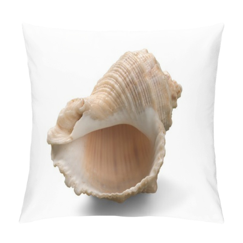 Personality  Sea Shell On Background Pillow Covers