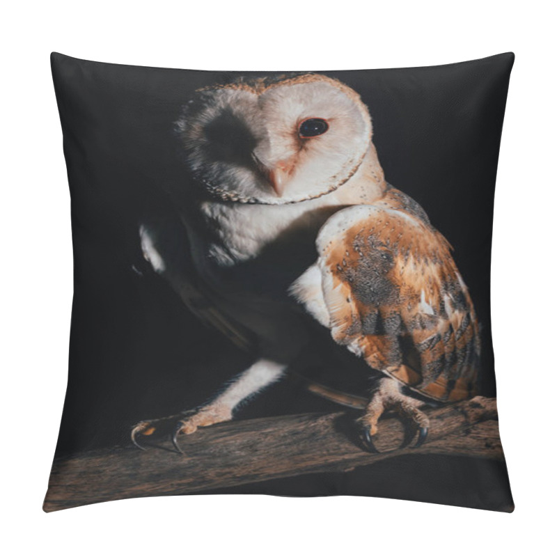 Personality  Cute Wild Barn Owl On Wooden Branch In Dark Isolated On Black Pillow Covers