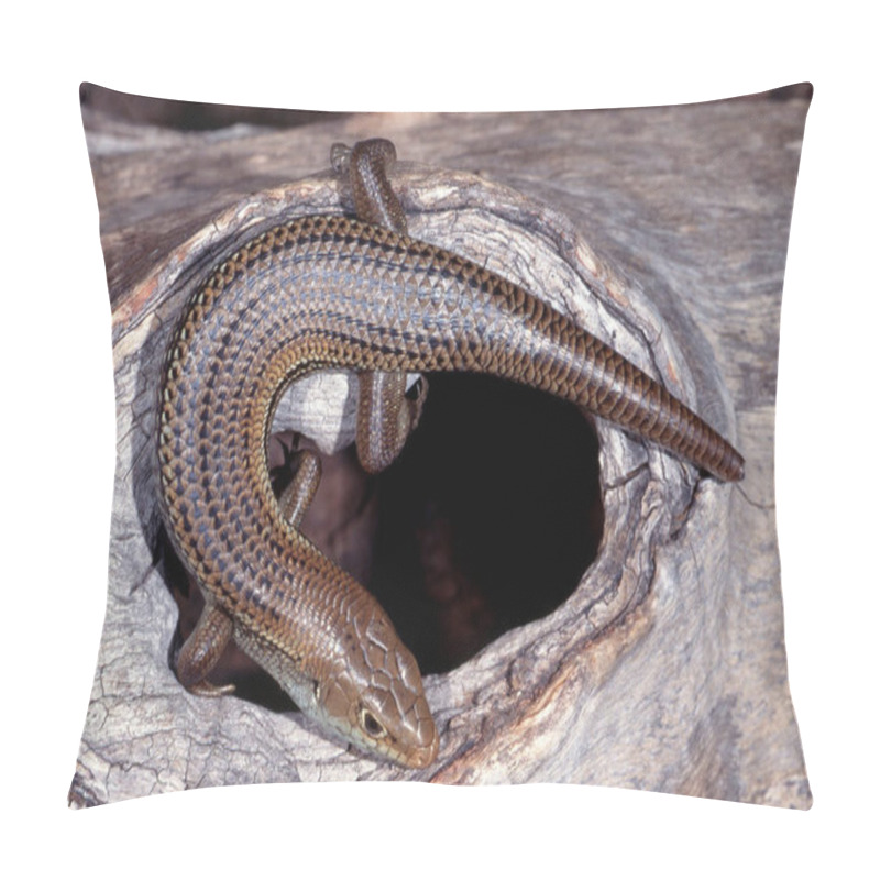 Personality  Australian Major's Skink Basking On Log Pillow Covers