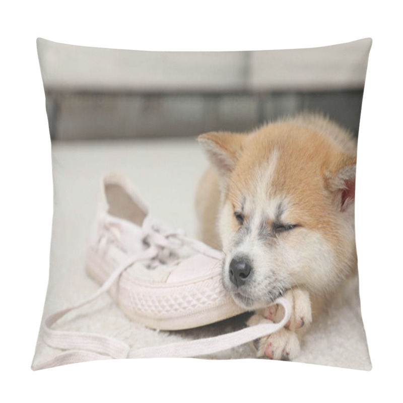 Personality  Cute Akita Inu Puppy With Shoe On Carpet In Living Room Pillow Covers