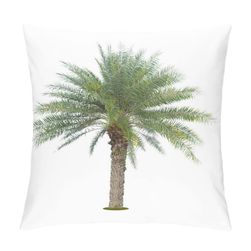 Personality  The Palm Tree Isolated On White Background. Pillow Covers