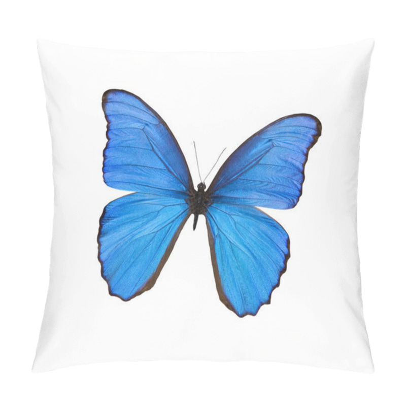 Personality  Blue Butterfly Isolated On White Pillow Covers