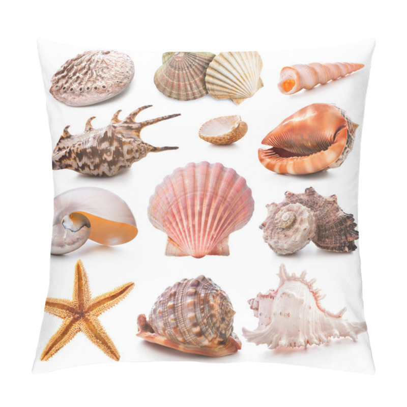 Personality  Seashell Collection Pillow Covers