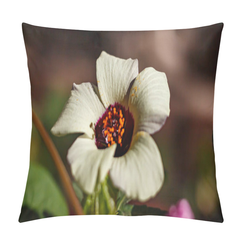 Personality  Hibiscus Trifoliate In A Flowerbed. Beautiful White Flower Pillow Covers