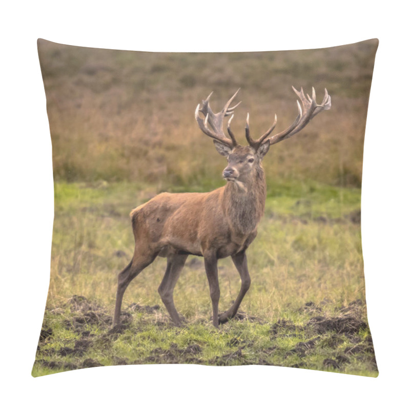 Personality  Male Red Deer Pillow Covers