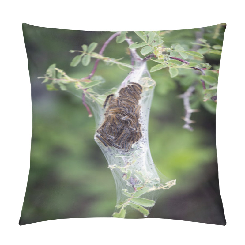 Personality  Tent Caterpillar Nest Pillow Covers