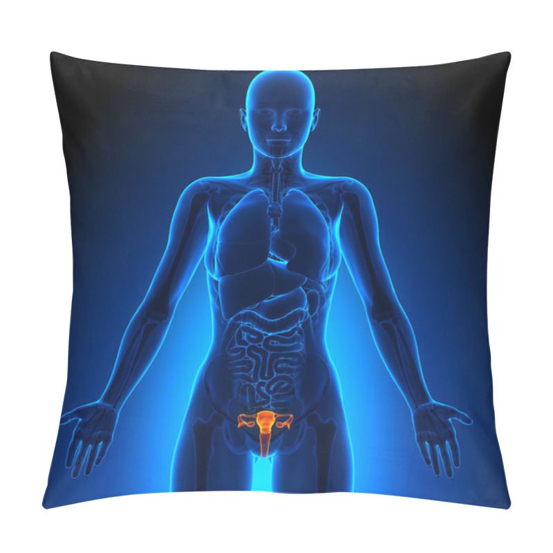 Personality  Reproductive System - Female Organs - Human Anatomy Pillow Covers