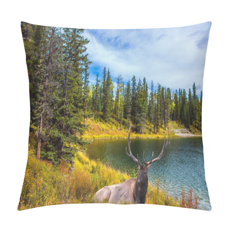 Personality  Deer Resting In The Grass By The Lake. Cold Cloudy Autumn Day Near The Bighorn Highway. Canadian Rockies. The Concept Of Ecological, Active And Photo Tourism Pillow Covers