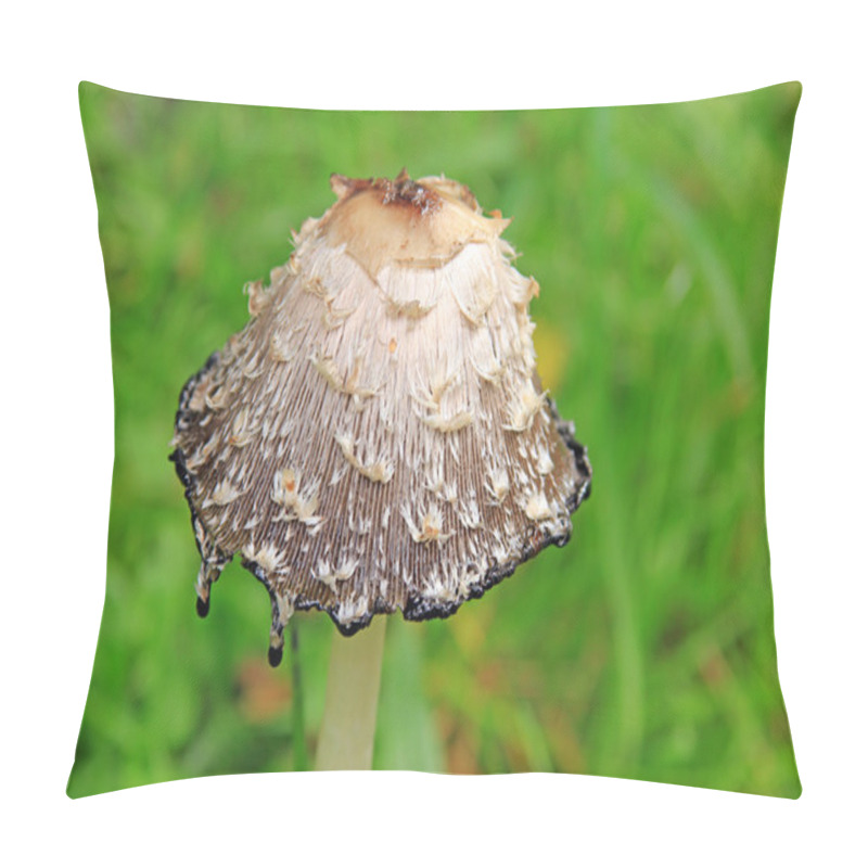 Personality  Shaggy Ink Cap (Coprinus Comatus) Pillow Covers