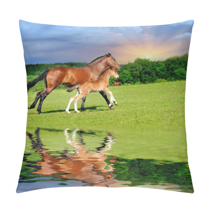 Personality  Horse In Meadow Pillow Covers