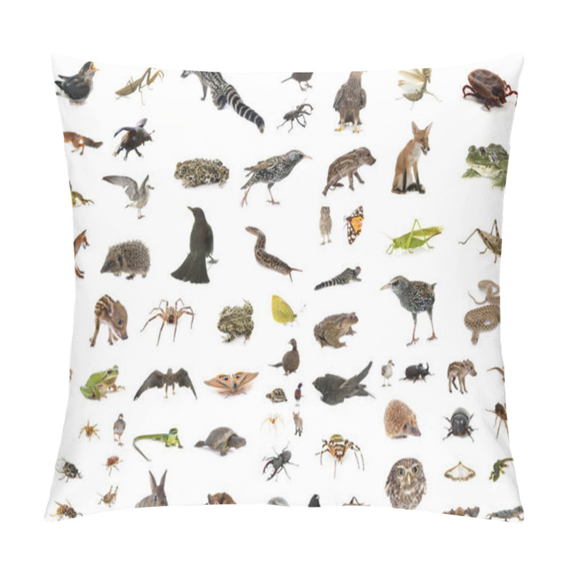 Personality  European Wildlife In Front Of White Background Pillow Covers