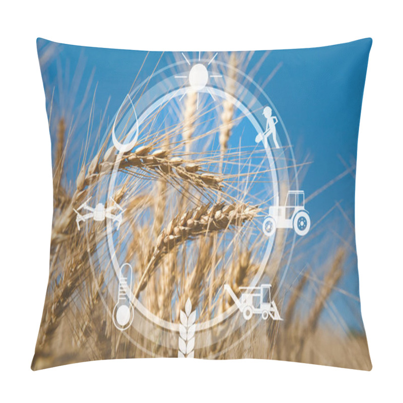 Personality  Digital Agricultural Messages And Icons On Field Background Pillow Covers