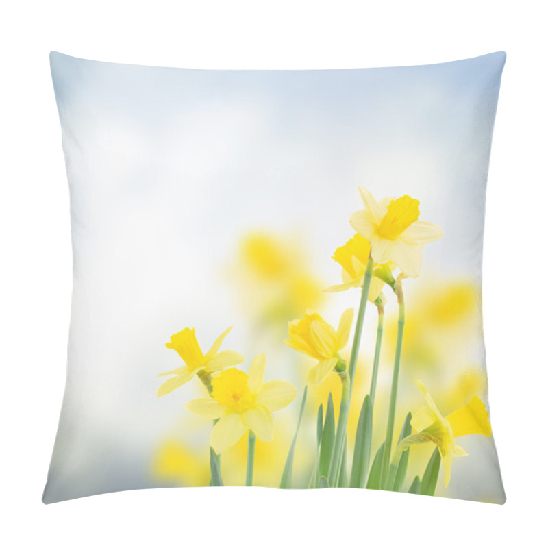 Personality  Spring Daffodils In  Garden Pillow Covers