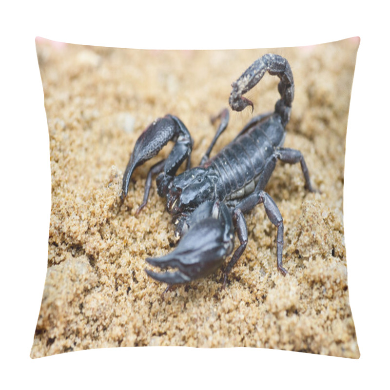 Personality  Scorpion Pillow Covers