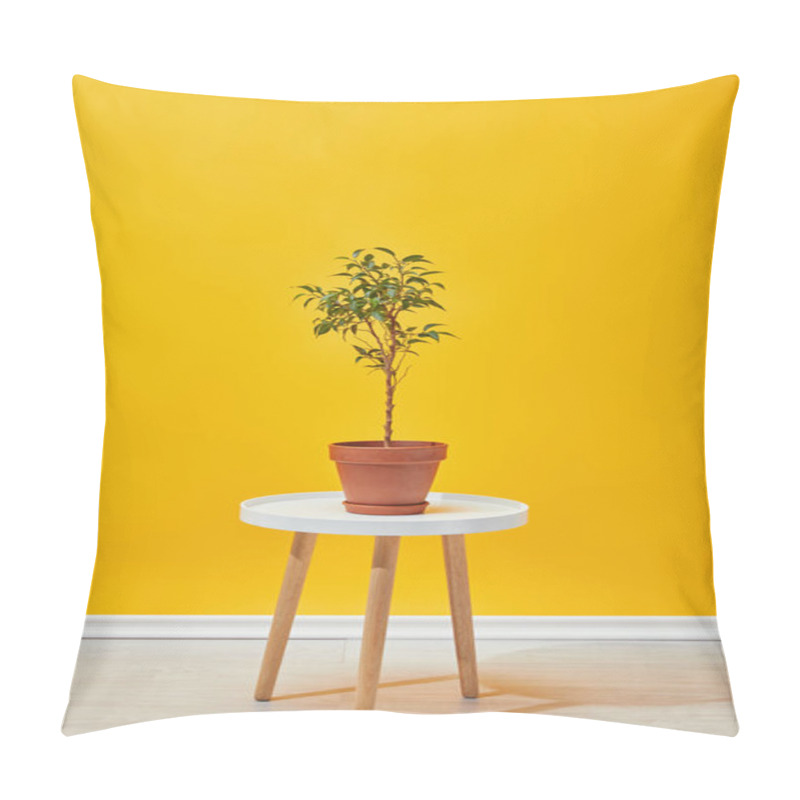 Personality  Plant In Flowerpot On Coffee Table With Yellow Wall At Background Pillow Covers