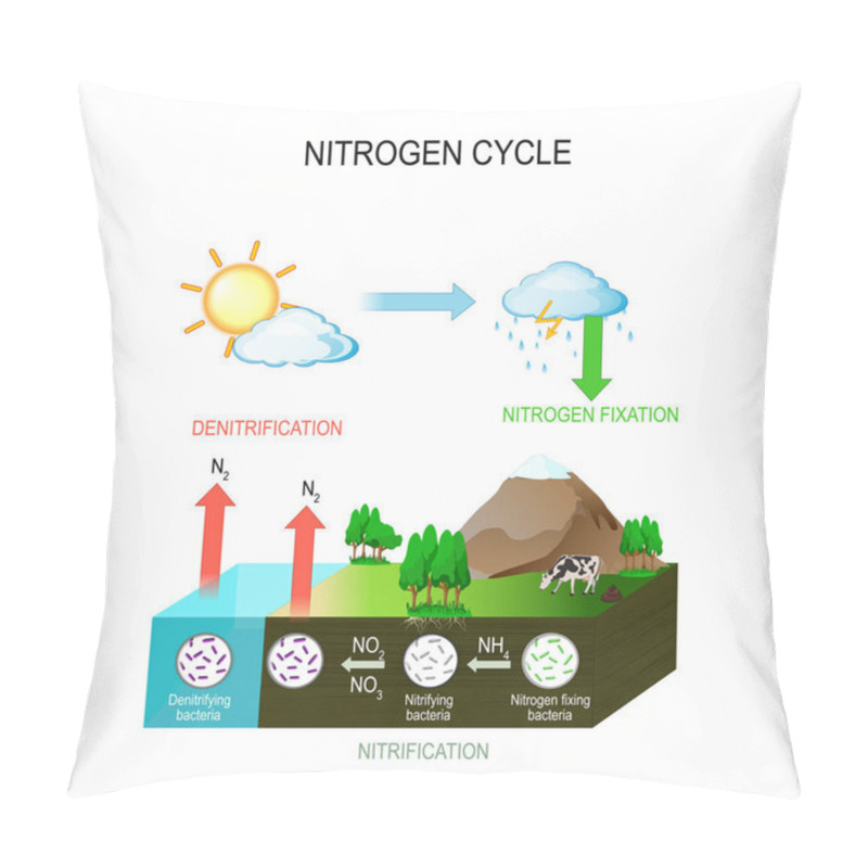 Personality  Nitrogen Cycle Pillow Covers