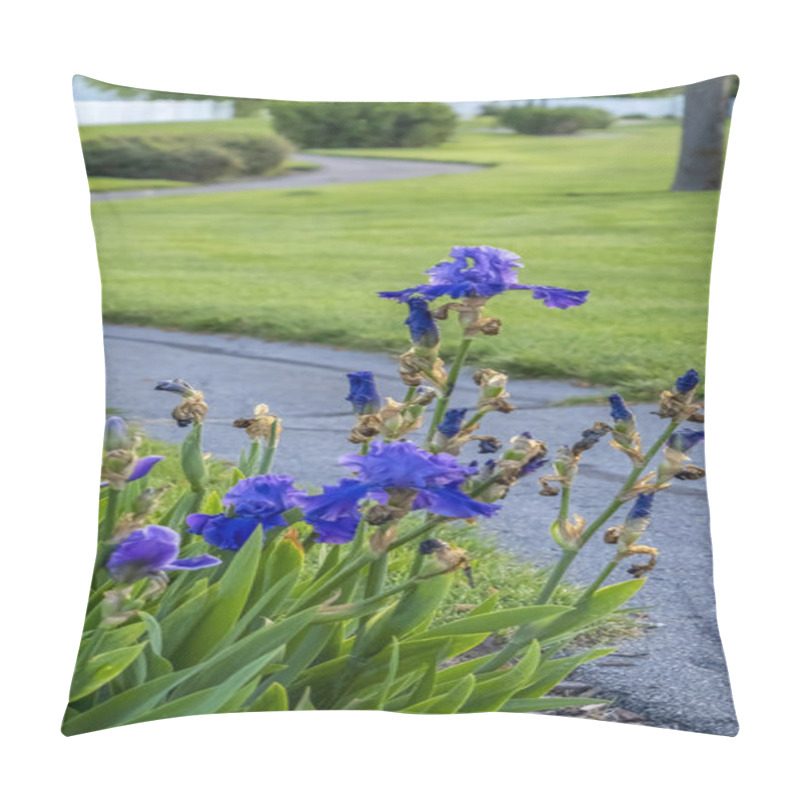 Personality  Vertical Vibrant Blue Flowers With Long Green Leaves Growing Beside A Narror Curving Road Pillow Covers