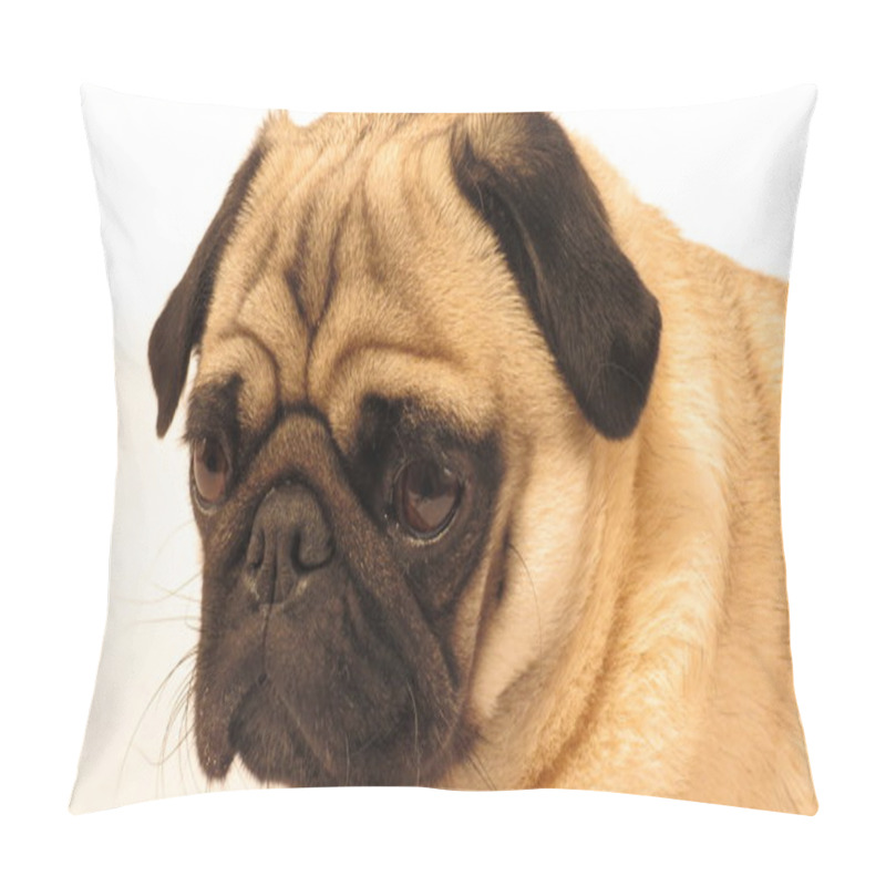 Personality  Pug Face Portrait Pillow Covers