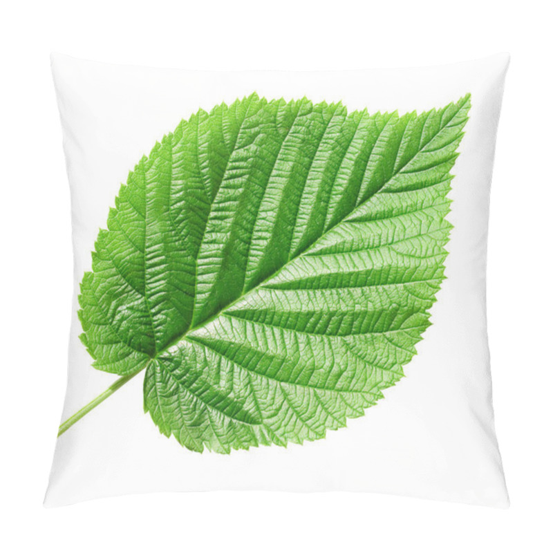 Personality  Green Leaf. Pillow Covers