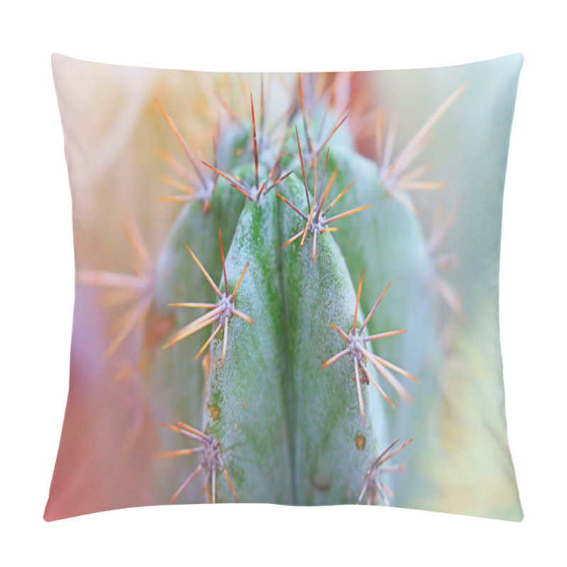 Personality  Prickly Cactus Close-up Abstract Background Pillow Covers