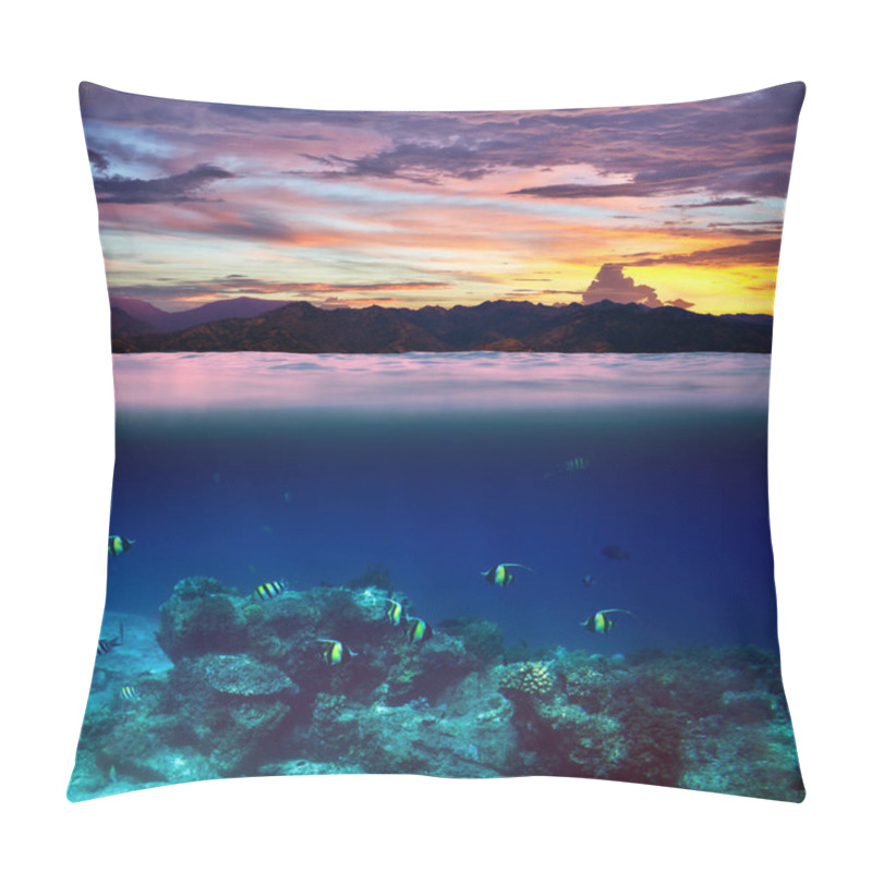 Personality  Fish In Tropical Ocean During Beautiful Sunset Pillow Covers