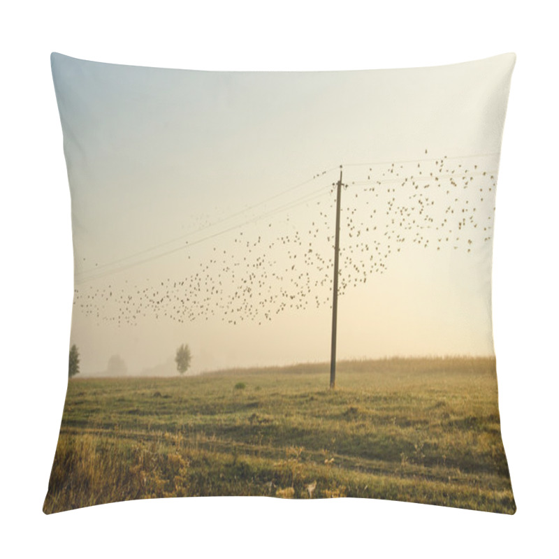 Personality  Many Birds Flying And Sitting On Power Lines, Nature In Fog And Sun Pillow Covers