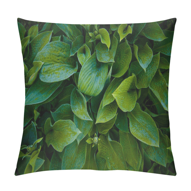 Personality  Beautiful Green Plants With Large Leaves Summer Day Pillow Covers