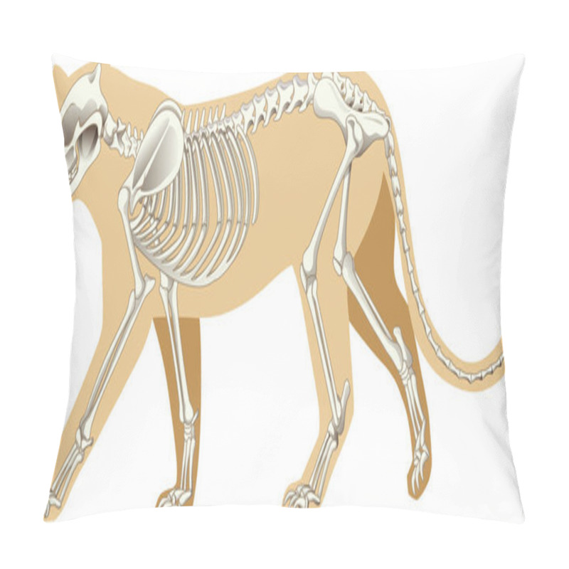 Personality  Outline Drawing Of Leopard With Skeletons Illustration Pillow Covers