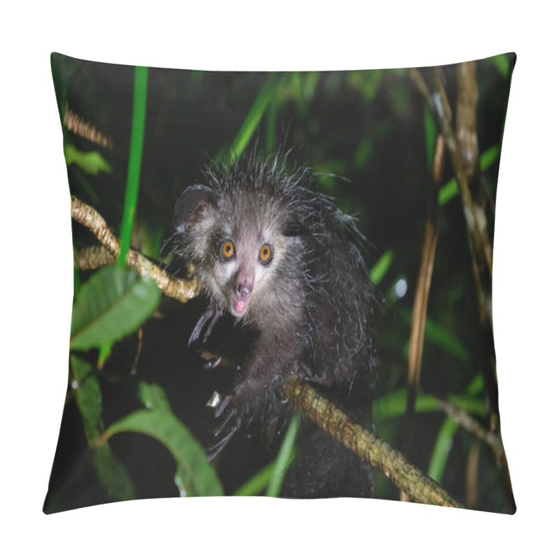 Personality  One Of The Rare Aye-Aye Lemur That Is Only Nocturnal Pillow Covers