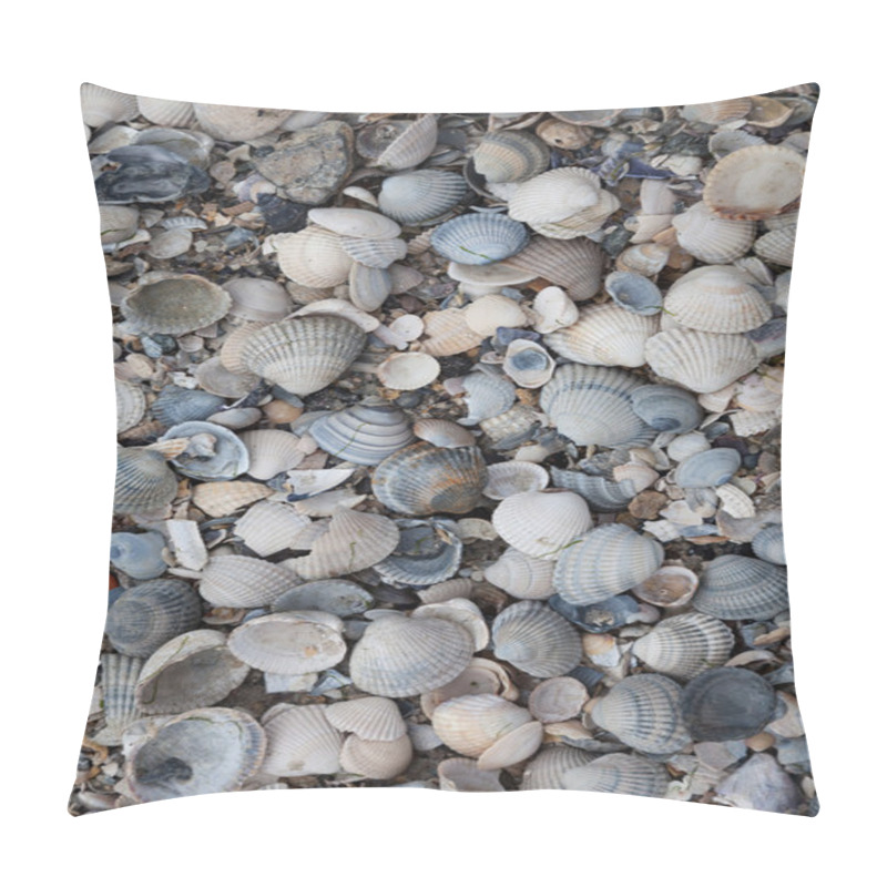 Personality  Beach With Mussels Pillow Covers