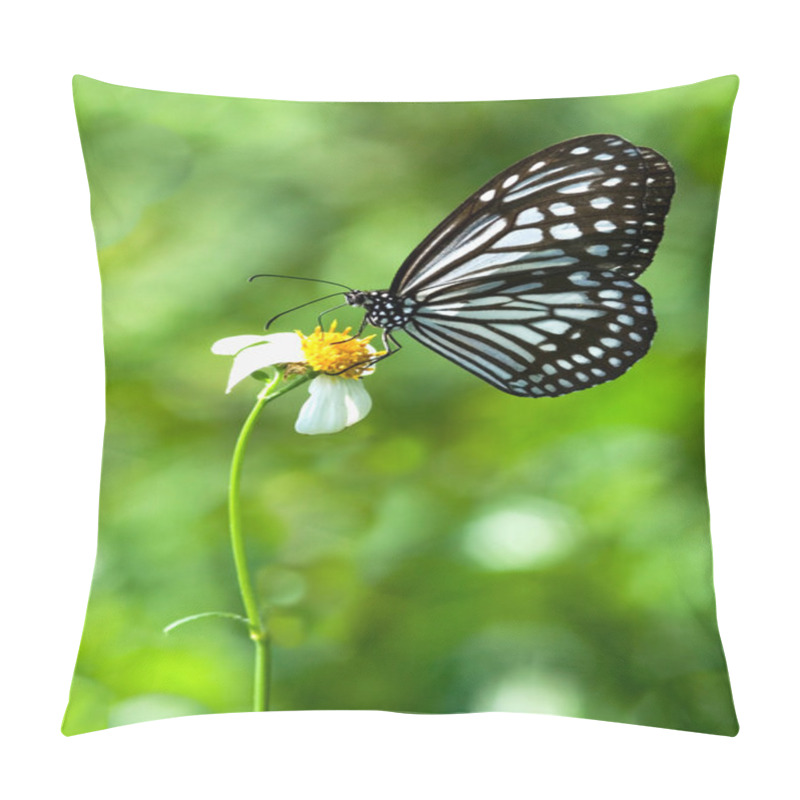 Personality  Mikweed Butterfly Pillow Covers