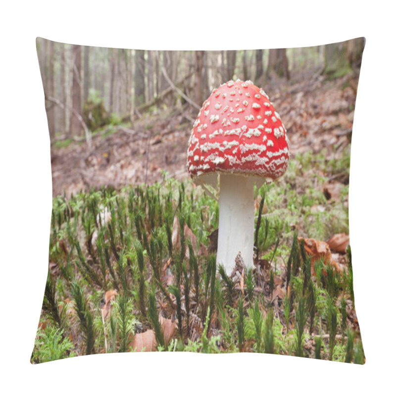 Personality  Image Of Mushroom, That Grows In The Carpathian Forest Pillow Covers