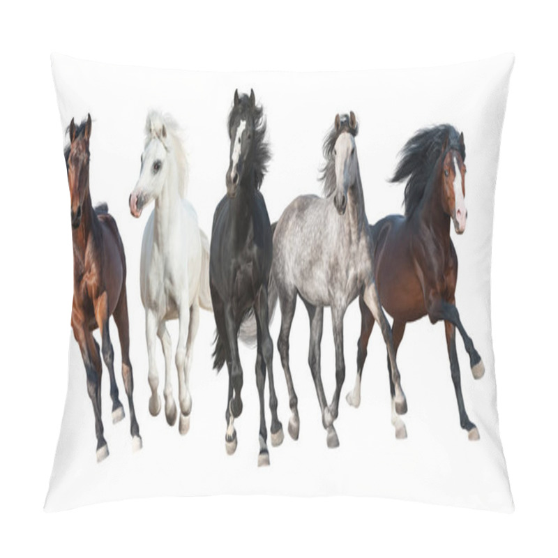 Personality  Horse Collection Isolated On White Background Pillow Covers