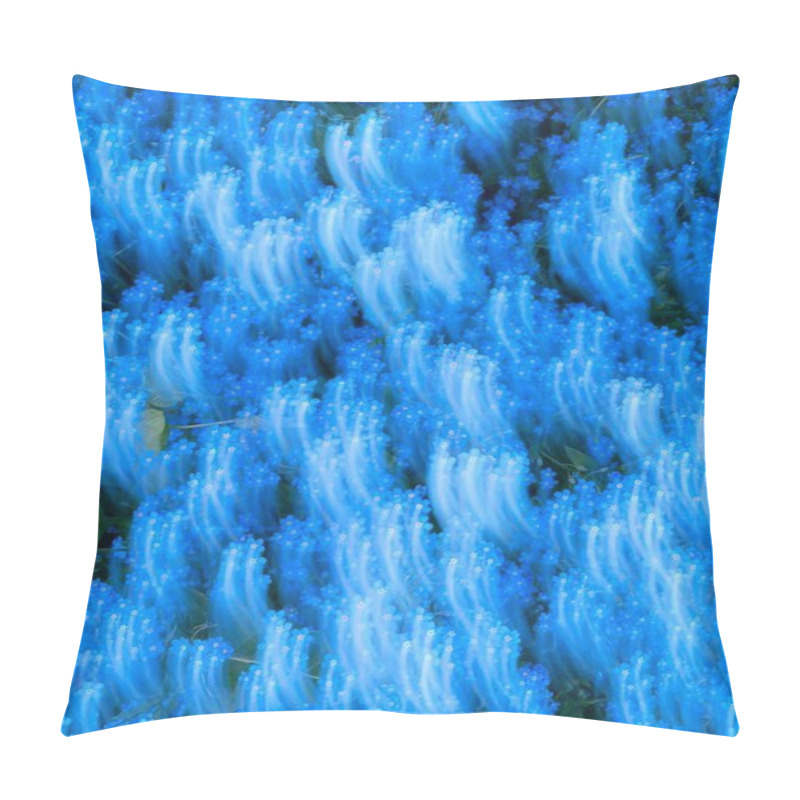 Personality  Abstract Blue Flower Field With Soft Movement Effect. Pillow Covers