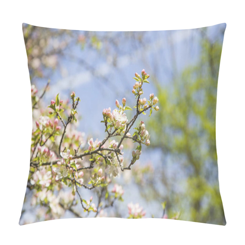 Personality  Spring Blossoms With Tree Branches  Pillow Covers