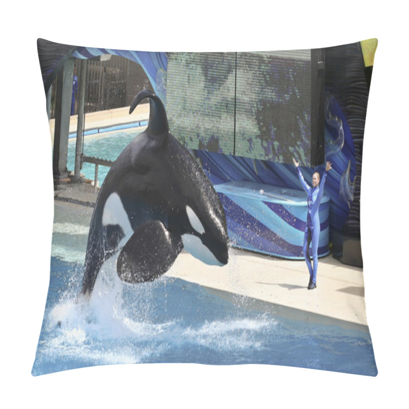 Personality  A Killer Whale And Trainer Perform In An Oceanarium Show Pillow Covers