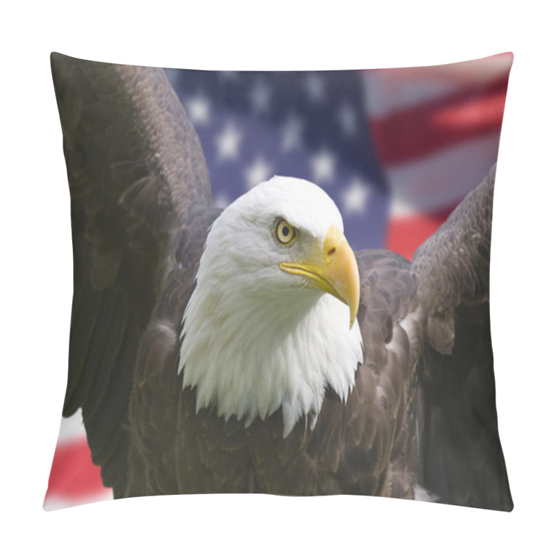 Personality  American Eagle With Flag Pillow Covers