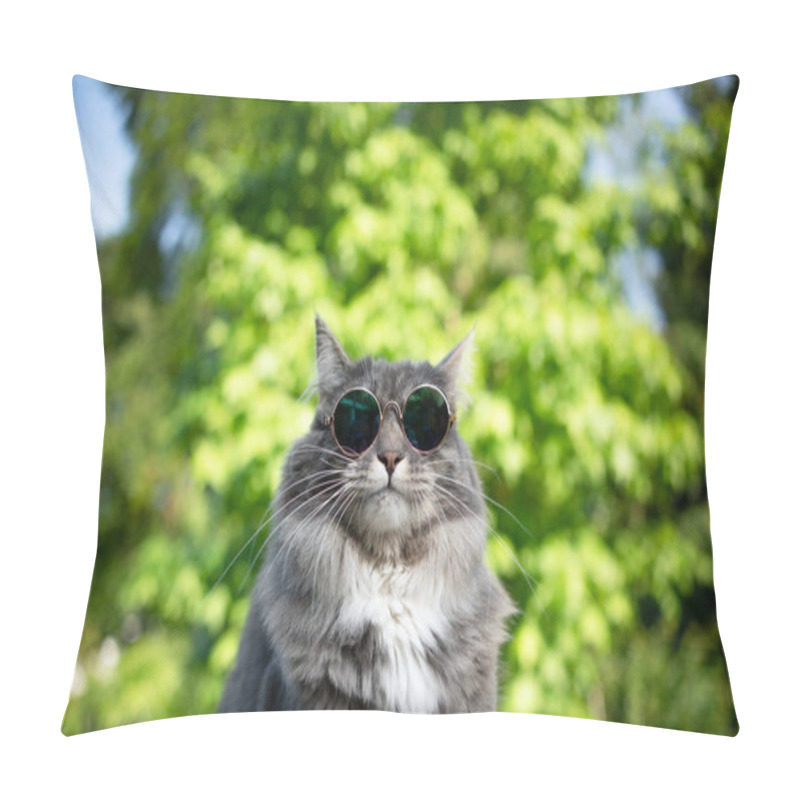 Personality  Cool Cat Wearing Sunglasses Pillow Covers