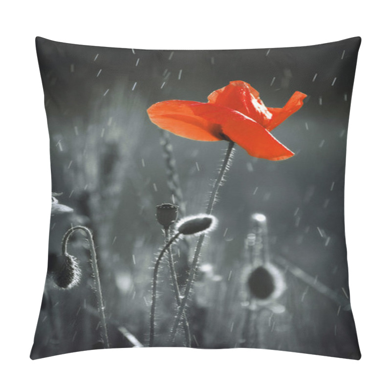 Personality  Nature Pillow Covers