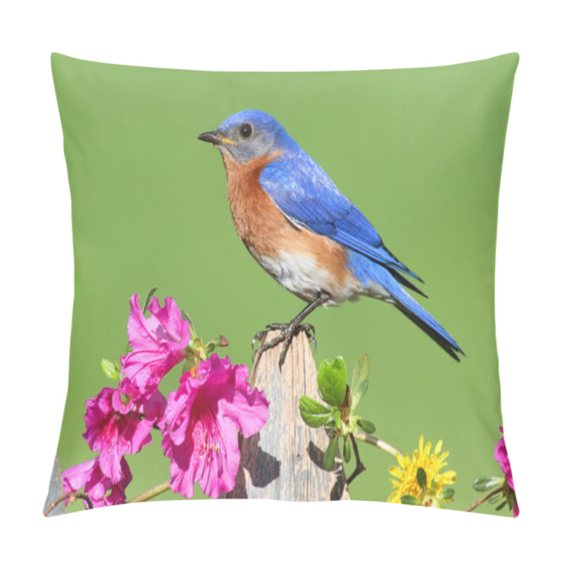 Personality  Eastern Bluebird Pillow Covers