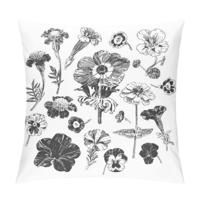 Personality  Botanical Graphics, Collection Of Hand Drawn Flowers Such As Marigold, Petunia, Pansies And Anemone Pillow Covers