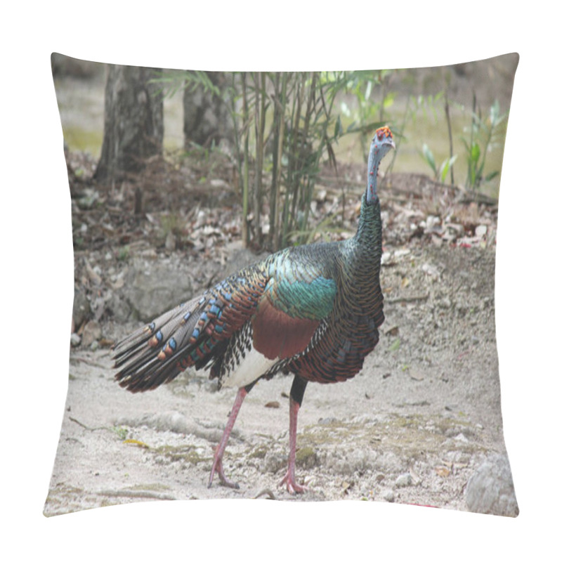 Personality  A Turkey As A Well Known Bird Pillow Covers