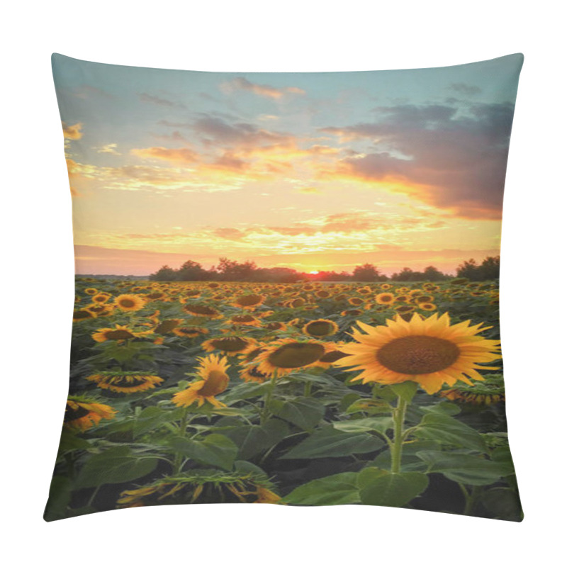 Personality  Sunlowers In The Field. Summer Flowers. Sunset In The Garden. Sunrise In Field. Pillow Covers