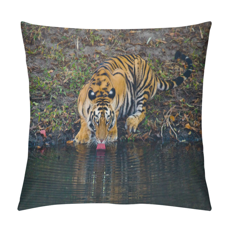 Personality  Wild Tiger On Drinking Water From River Pillow Covers