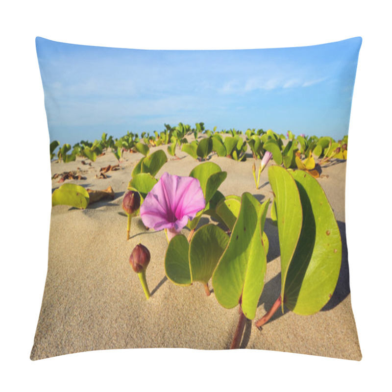 Personality  Beach Morning Glory - South Africa Pillow Covers