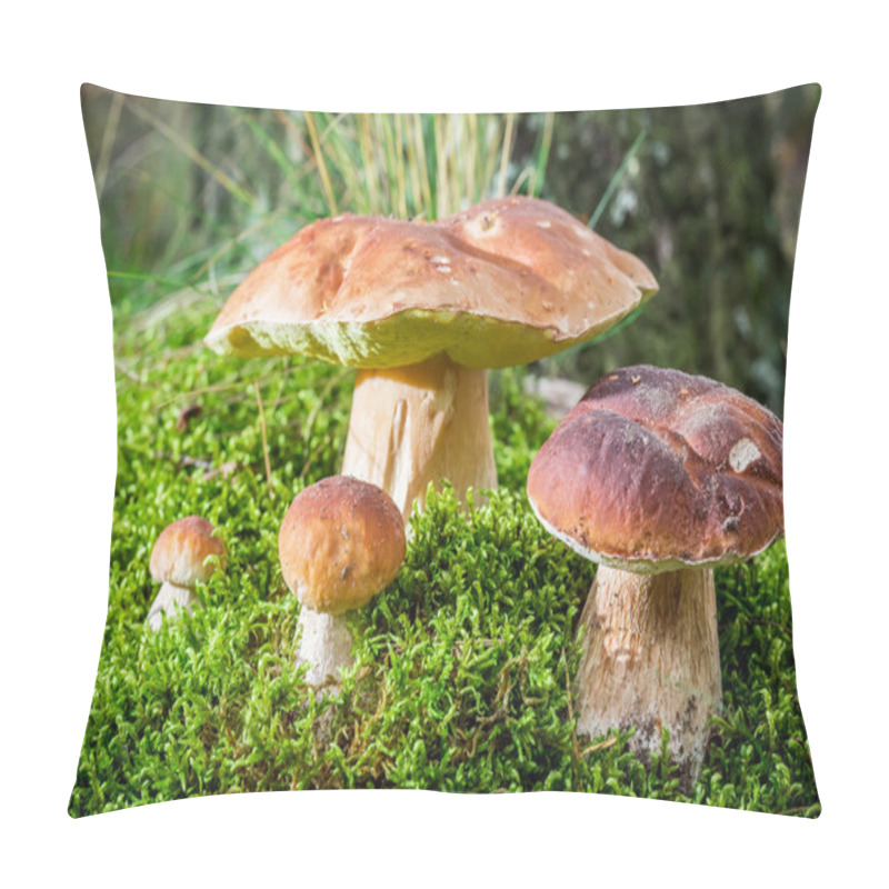 Personality  Several Boletus Mushroom On Moss In Forest Pillow Covers