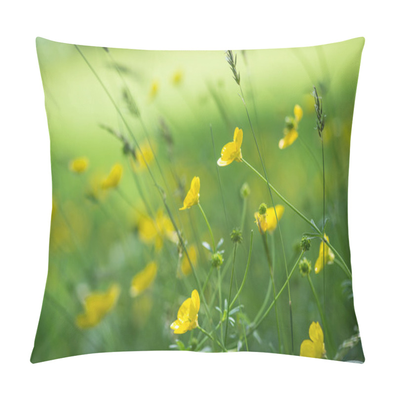 Personality  Close Up Image Of Vibrant Buttercups In Wildflower Meadow Landsc Pillow Covers